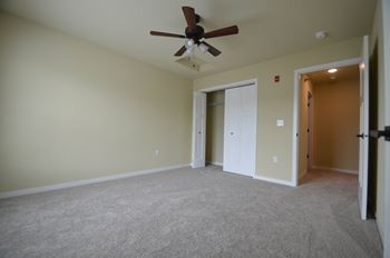 Ceiling fan